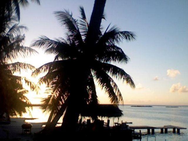 Blue Heaven Island Bora Bora Exterior foto